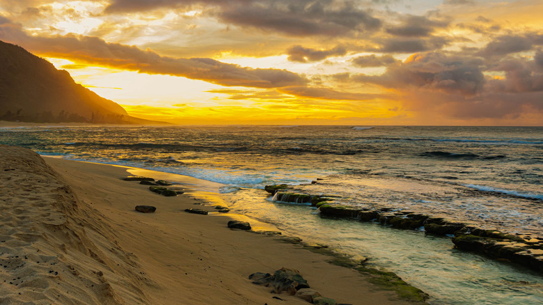 The shoreline of Ka'ena Point State Park at sunset on Oahu, Hawaii