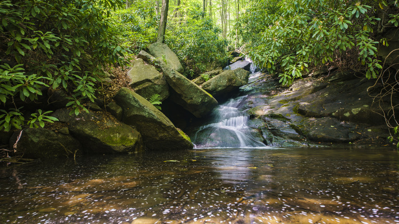 Glen Onoko Waterfalls trail, Lehigh Gorge State Park, Pennsylvania