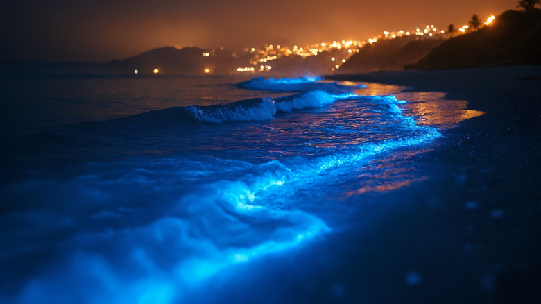 Waves with blue bioluminescence washing on a beach at night