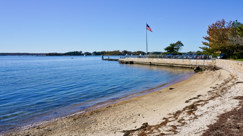 Shore of a small beach in Woods Hole, Cape Cod