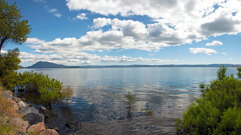 A shot of the glassy surface of Clear Lake, in northern California