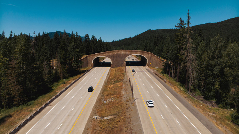Cars driving down three-lane carriage ways under arched bridge on Interstate 90 in Washington