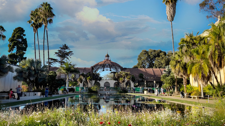 Colorful flowers and gorgeous architecture in Balboa Park