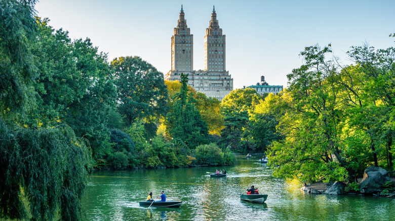 Paddle boats in Central Park