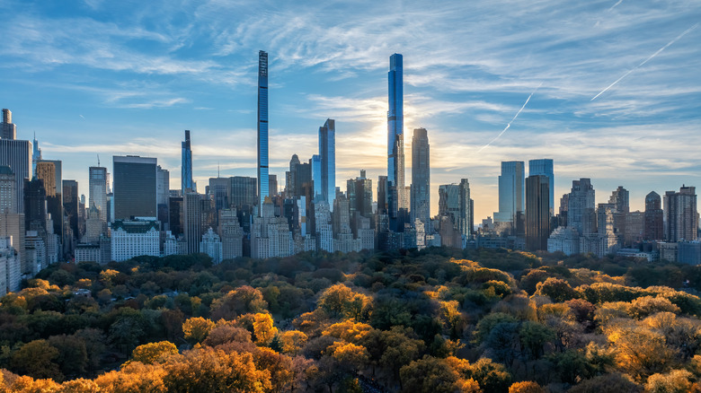 View of the New York City skyline and Central Park in fall