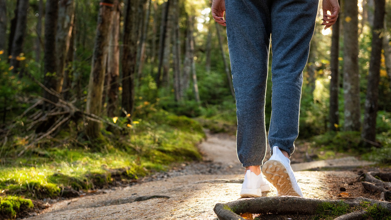 Low shot of a woman's lower half in joggers and white sneakers walking along a forested path