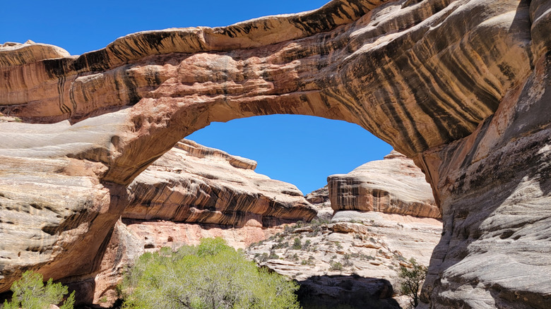 Underside view of Sipapu Natural Bridge in Utah