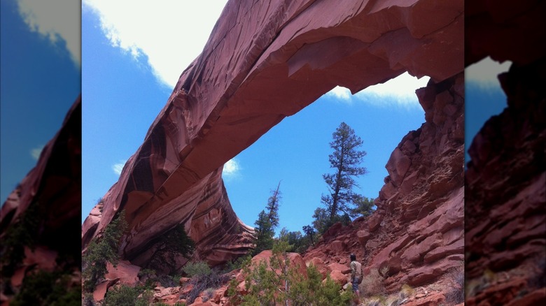 A hiker underneath the sandstone Snake Bridge in New Mexico