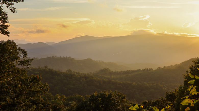 Haze rising over the Smokies