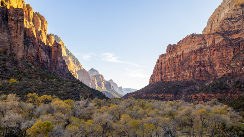 Zion National Park in winter
