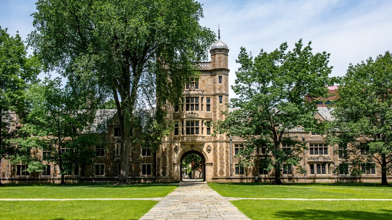 A view of the University of Michigan with large trees and a manicured lawn