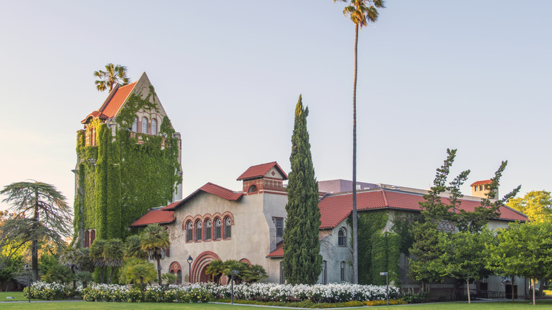 A view of San Jose State University with a garden on a sunny day