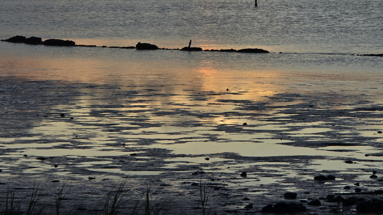 Sunset over Galveston Bay