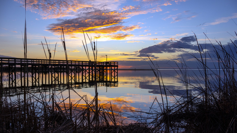 Mobile Bay coastine and pier