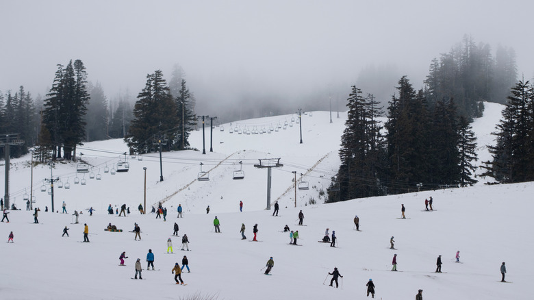 Skiers on snowy slopes of Mt. Hood, with chairlifts and pine trees in the background on a foggy day
