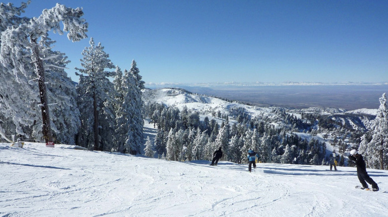 Snowboarders carving down snowy slopes at Mountain High Resort