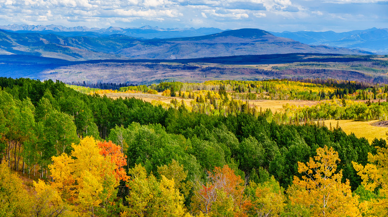 The Elk Mountain Range during fall in Colorado