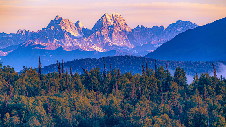 The jagged peaks of the Denali region rise above forests in Alaska