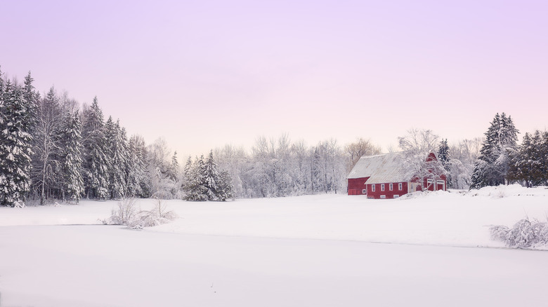Snowy landscape in northern Maine