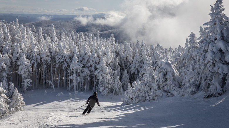 Skier in Green Mountain, Vermont
