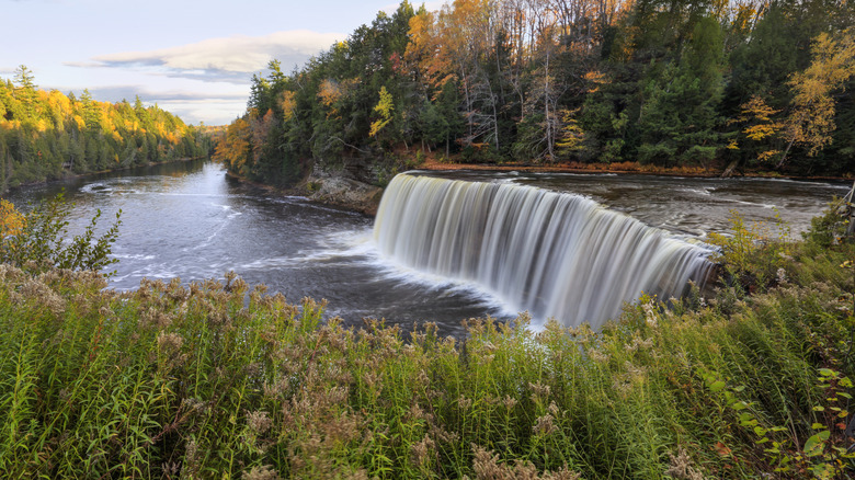 Wide waterfalls pour through the Tahquamenon Falls State Park of Michigan