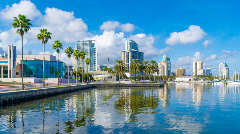 Bayfront view of St. Petersburg Skyline