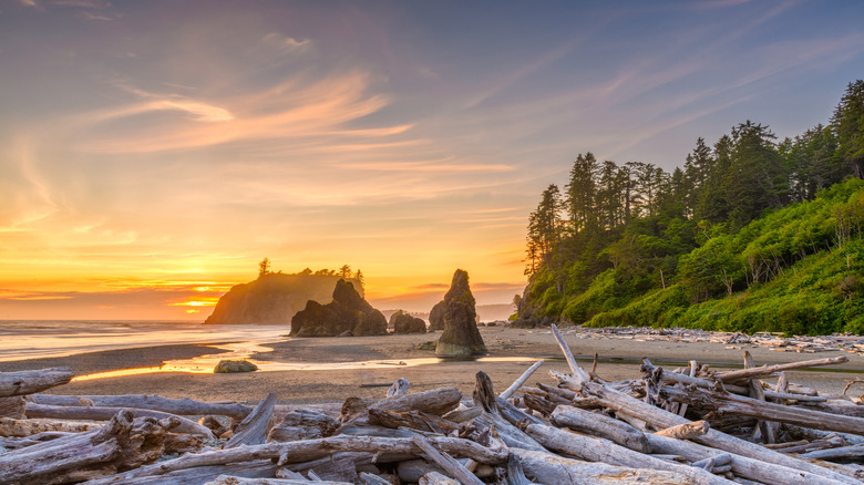 Driftwood sunset rock formations Ruby Beach Washington