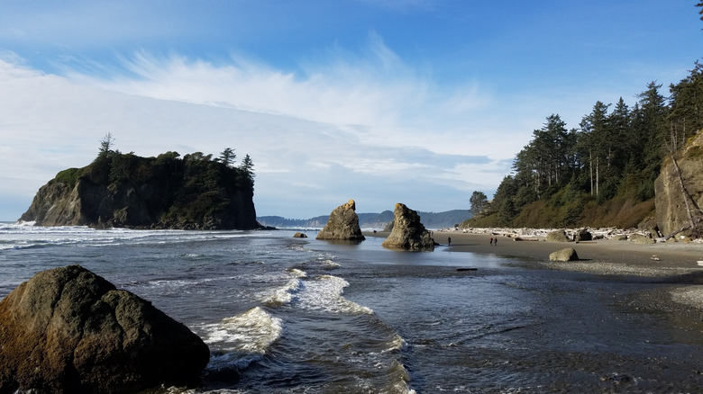 Abbey Island on Ruby Beach, Washington at high tide