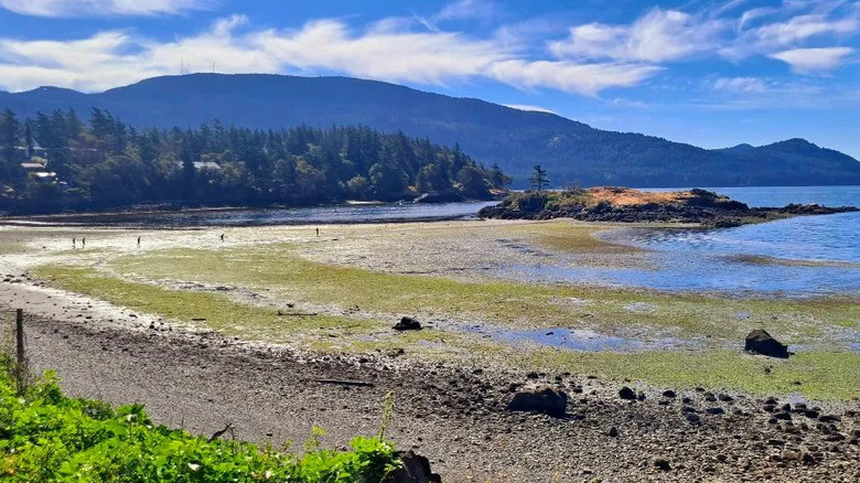 A scenic view of Indian Island off the coast of Orcas Island, Washington at low tide