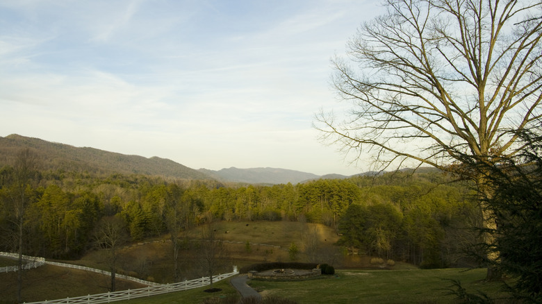 Part of Blackberry Farm's extensive grounds