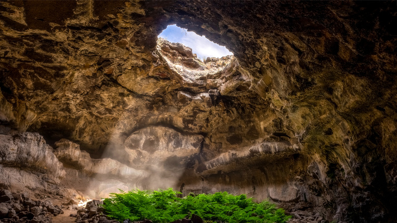 A skylight in the famous Mammoth Cave