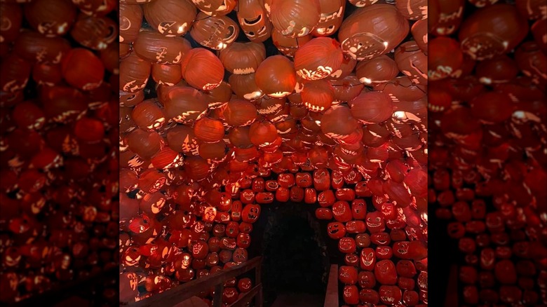 Corridor of pumpkins