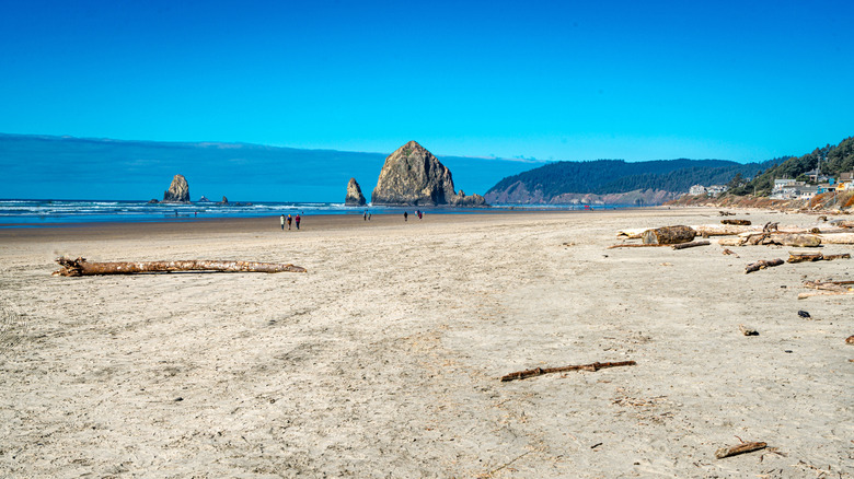 A view of Haystack Rock