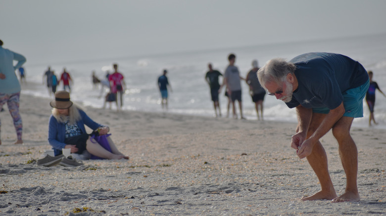 A man looking for fossilized shark teeth on Englewood Beach