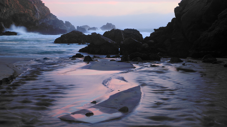 The purple sands at Pfeiffer Beach