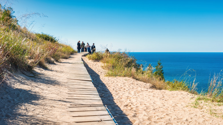 The dunes overlooking the beach at Empire Bluff