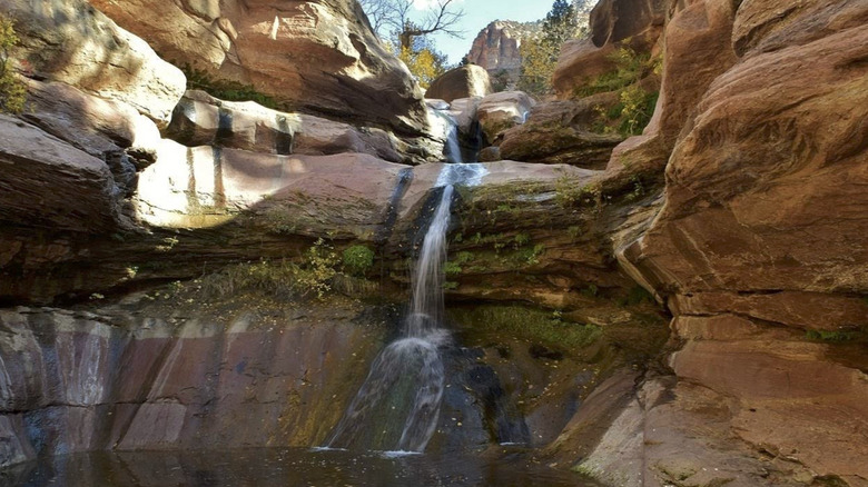 Lower Pine Creek Falls in Zion National Park, Utah