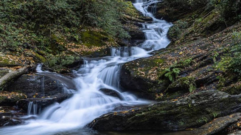 Roaring Fork Falls in Pisgah National Forest