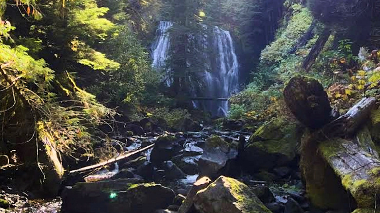Little Niagara Falls in Gifford Pinchot National Forest