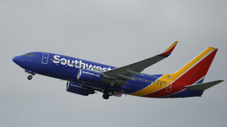 A Southwest Airlines plane in flight