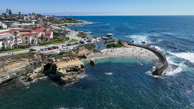 Aerial view of La Jolla Cove