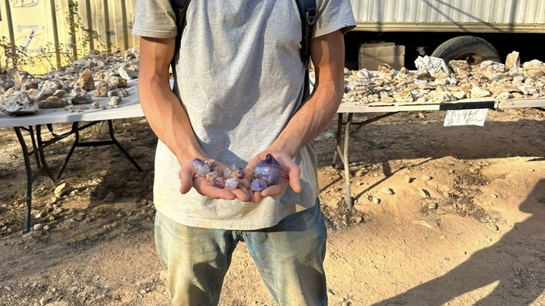 A guest with two large amethysts found at the Diamond Hill Mine, South Carolina.