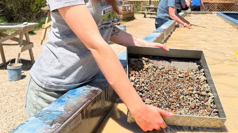A guest panning for sapphires at Gem Mountain Sapphire Mine, Montana