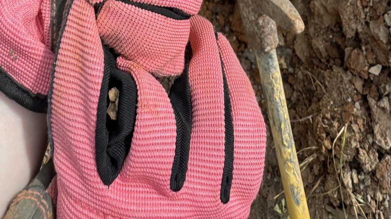 A rockhound wearing pink gloves holds a mineral find.