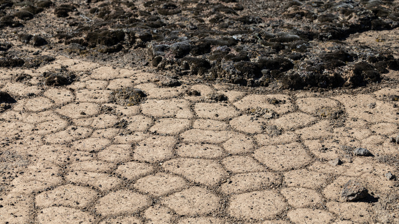 The Oregon Sunstone Public Collection Area