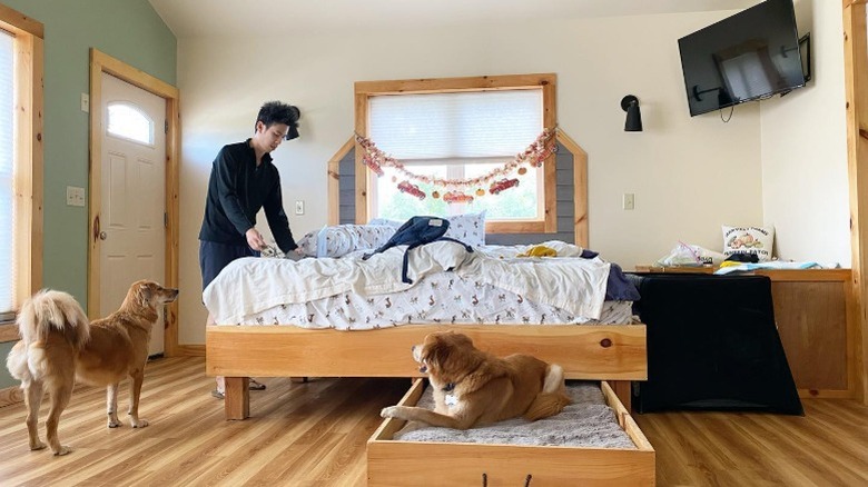 A guest and his dogs at Paw House Inn
