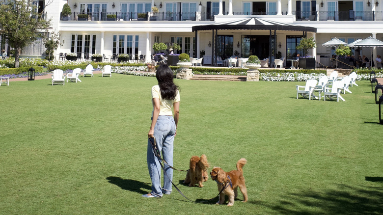 A guest and two dogs at Rosewood Miramar Beach