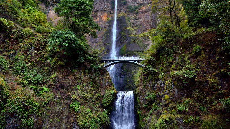 A view of Multnomah Falls, Oregon's tallest waterfall