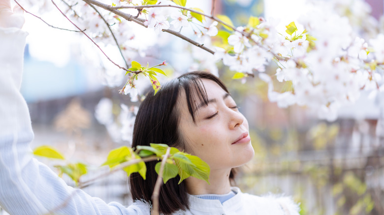 A woman closes her eyes and smells a cherry blossom branch hanging over her head