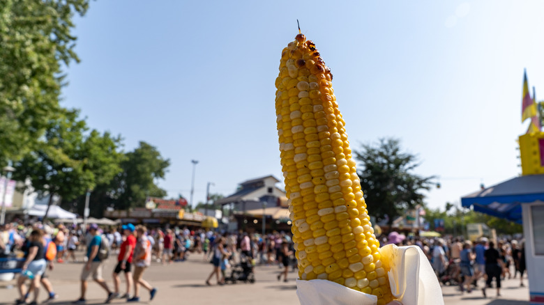 A corn on the cob at the Minnesota State Fair